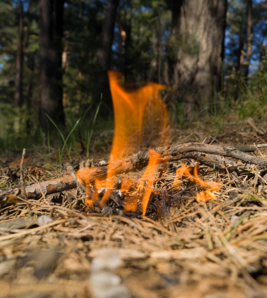 Freiwillige Feuerwehr Breitnau: Reisigfeuer