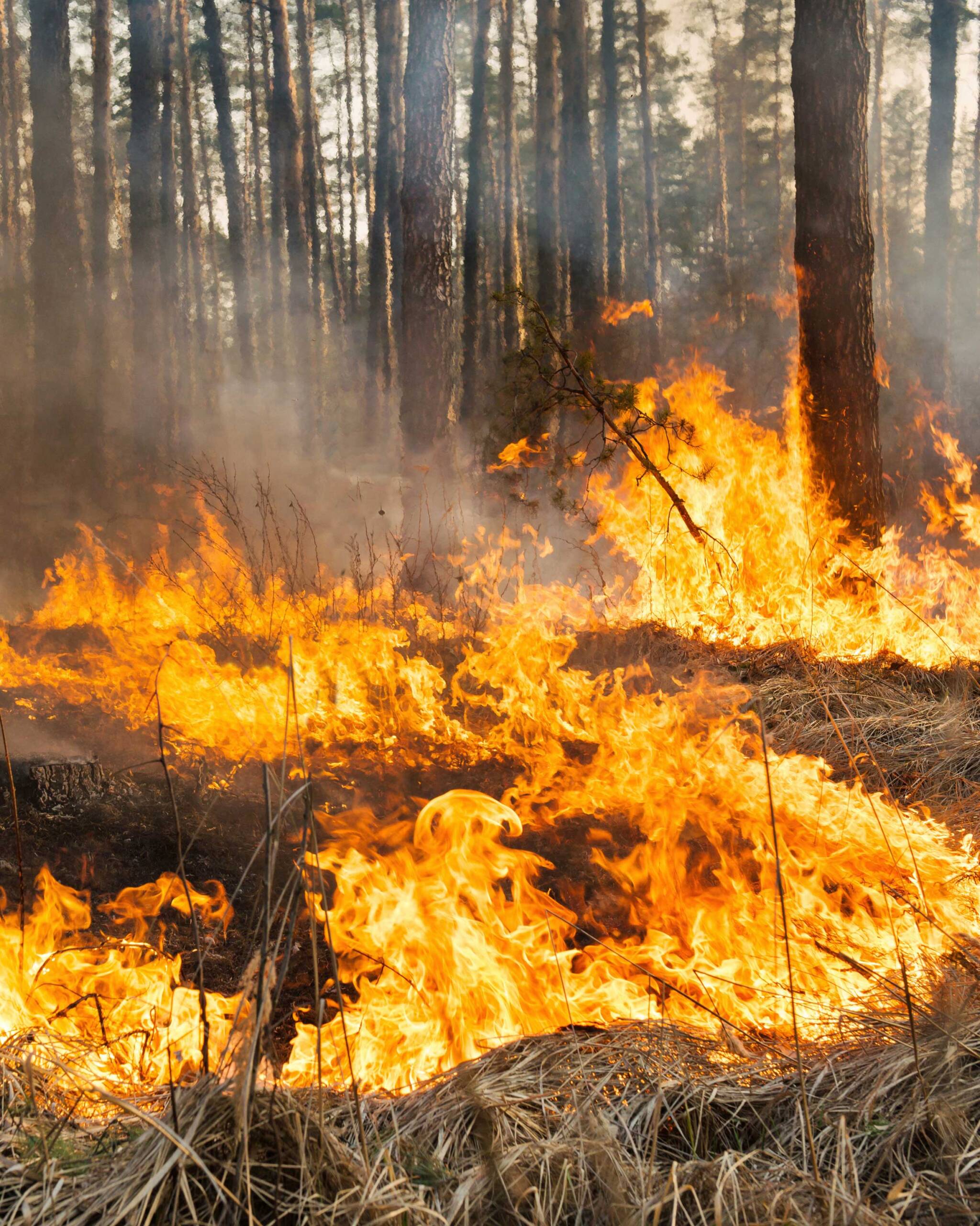 Der Funke springt leicht über
