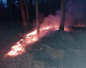 Freiwillige Feuerwehr Breitnau beim Einsatz
