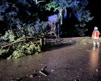 Freiwillige Feuerwehr Breitnau beim Einsatz